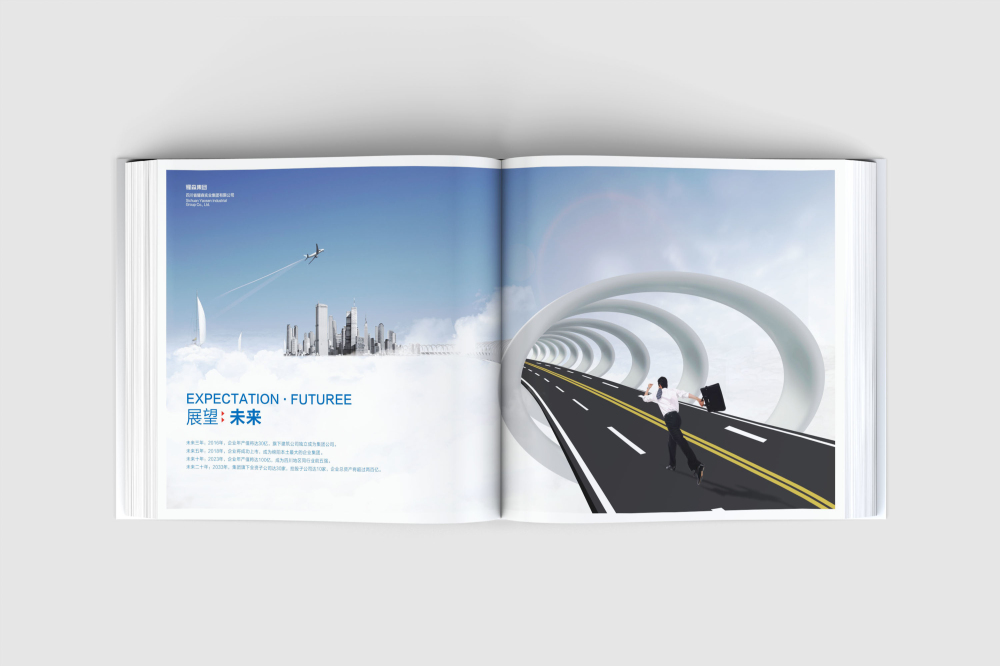 镇巴县画册设计